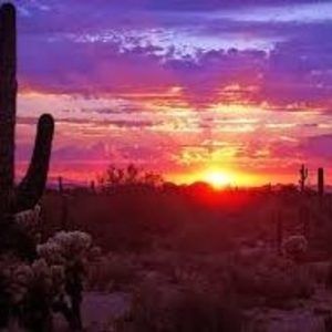 Meet your Posher, Jack